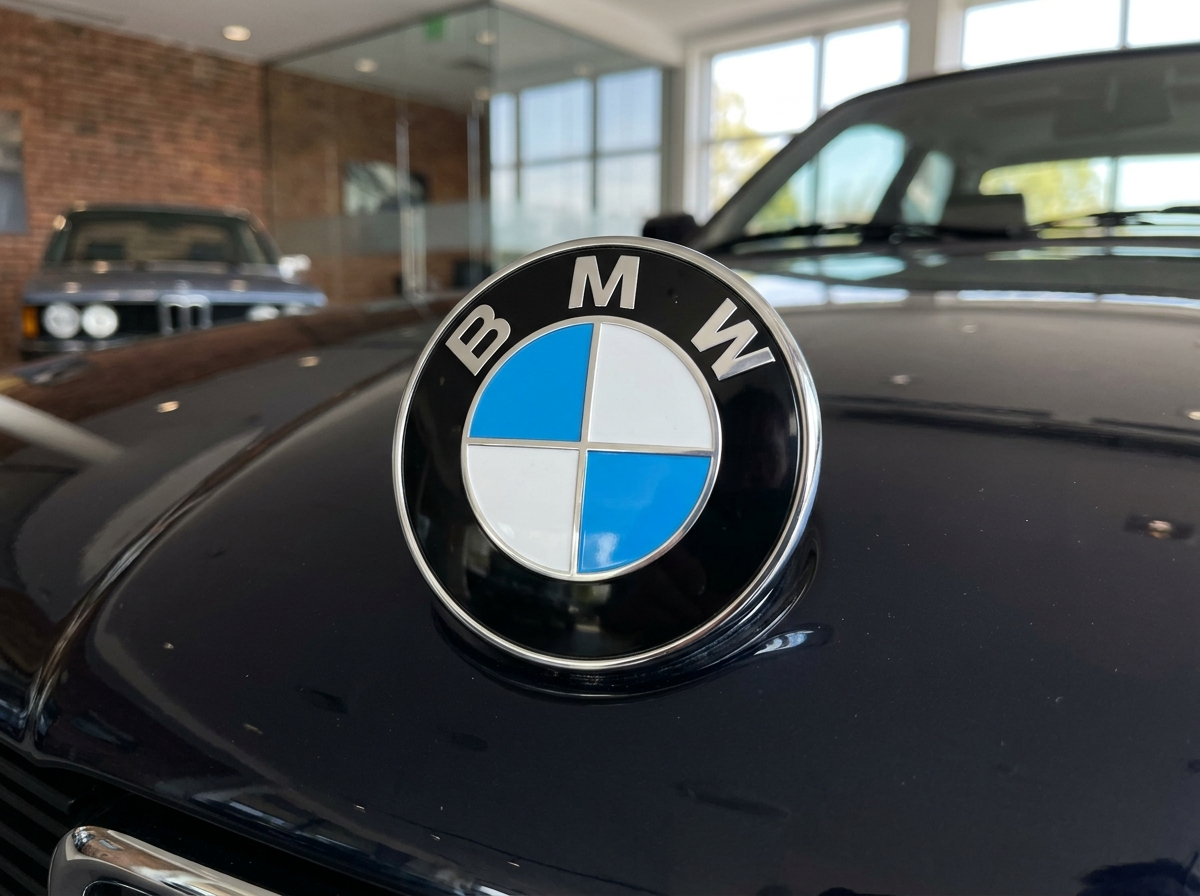 BMW roundel blue white propeller logo brand emblem